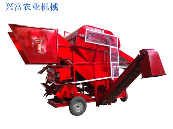 花生的，營(yíng)養(yǎng)的