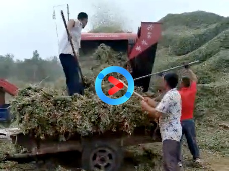 現(xiàn)場(chǎng)案例 現(xiàn)場(chǎng)案例