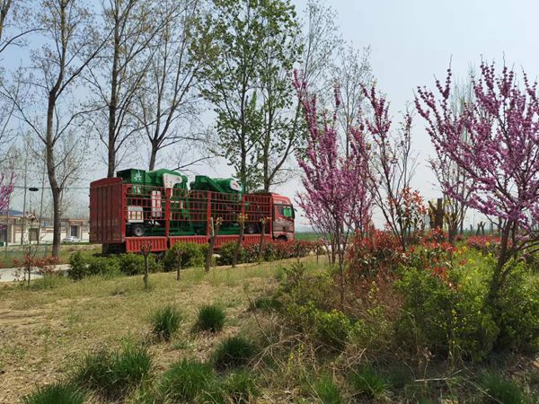 發(fā)貨現(xiàn)場(chǎng) 發(fā)貨現(xiàn)場(chǎng)