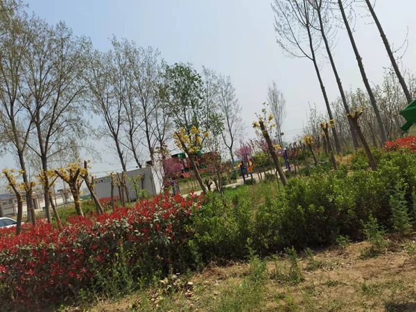 發(fā)貨現(xiàn)場(chǎng) 發(fā)貨現(xiàn)場(chǎng)